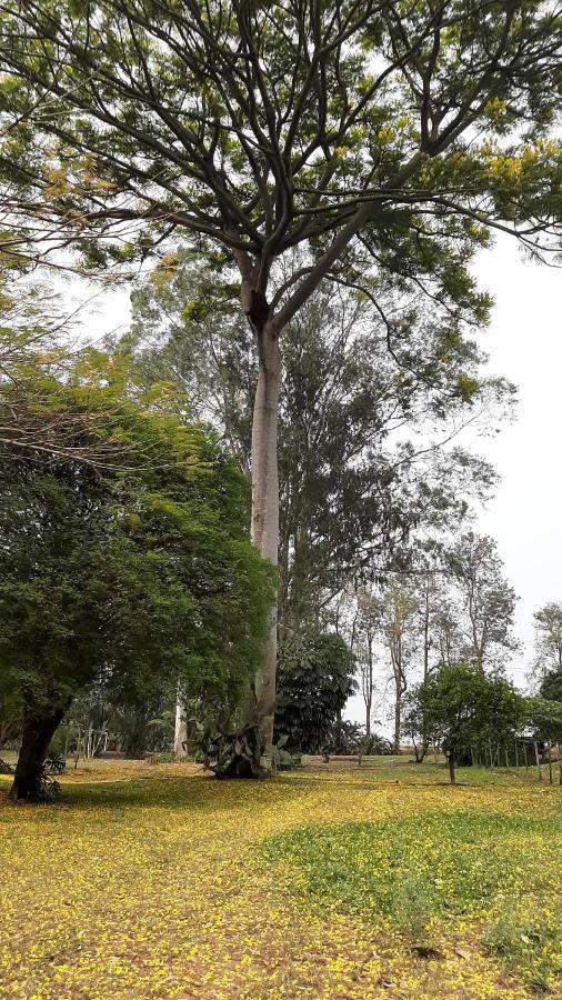 Fazenda Santa Clementina Διαμέρισμα Araras  Εξωτερικό φωτογραφία